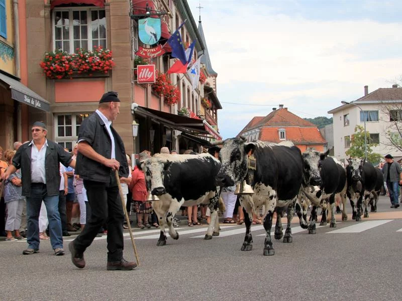 Fête de la transhumance et de la tourte