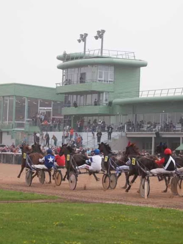 Courses hippiques