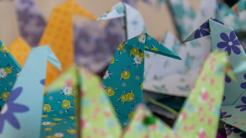 Atelier du mercredi | Origami