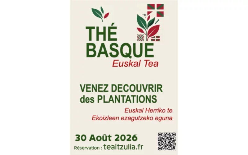 À la découverte des producteurs de thé basques