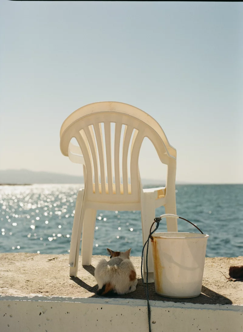 Festival Orizons - Exposition : La Chaise en plastique
