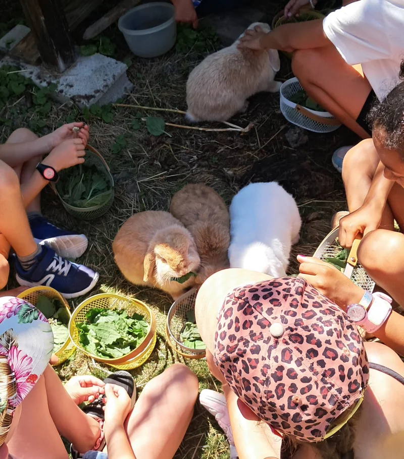 Atelier des p'tits curieux : "Immersion à la ferme : à la découverte du plantain"
