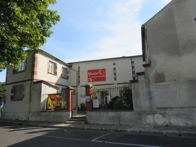 Atelier créatif enfants - Le renard