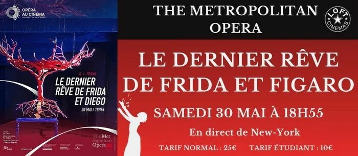 Le Dernier Rêve de Frida et Diego
