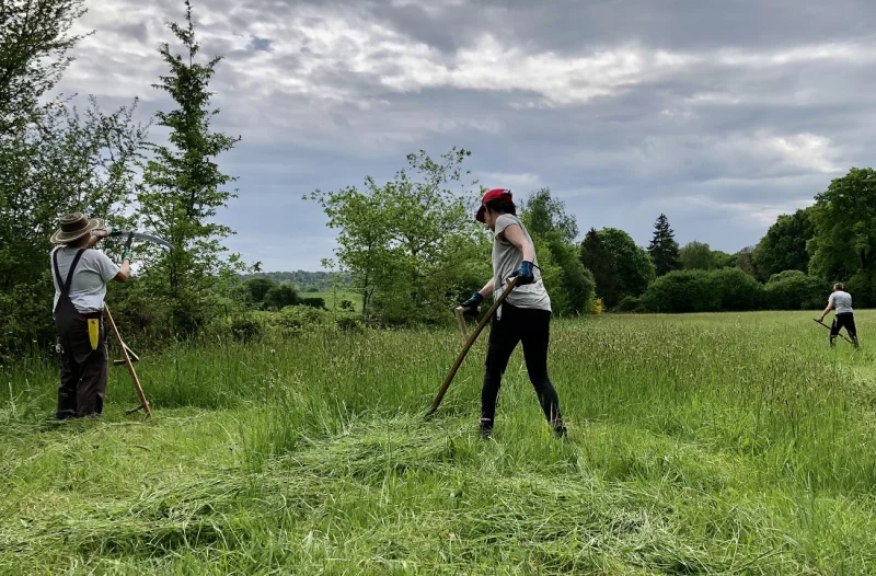Initiation à la faux