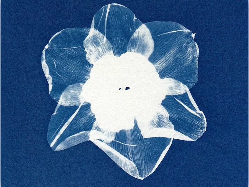 Initiation au cyanotype
