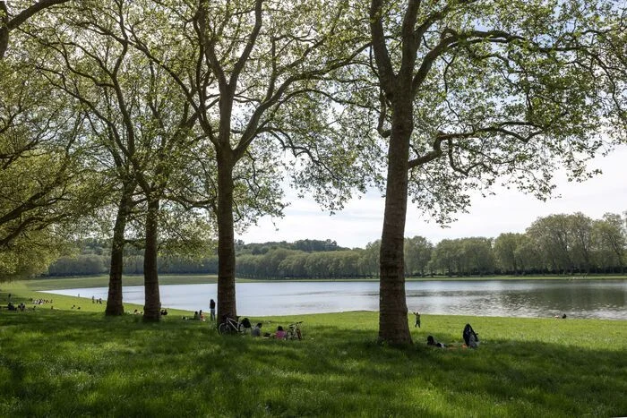 Versailles, cité-jardin (randonnée-conférence)