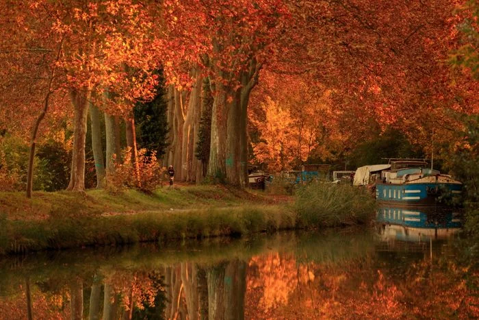 Le canal du Midi en Gabare