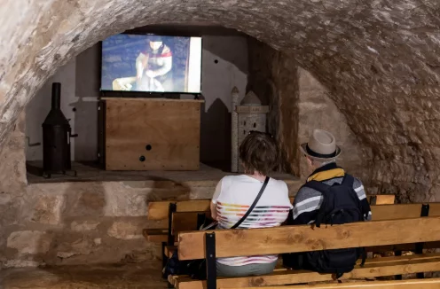 CAUSERIE AUTOUR DU FILM LOU MÈJIO – LA VIE DES PAYSANS D'ANTAN SUR LE CAUSSE MÉJEAN