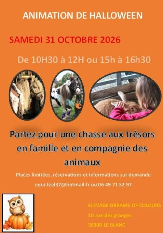Halloween chez les poulains miniatures