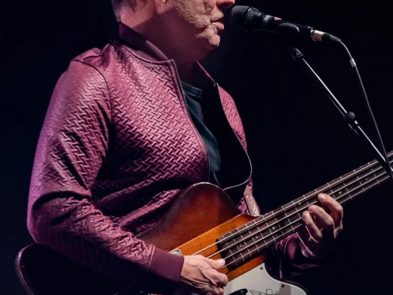 Concert Cock ROBIN