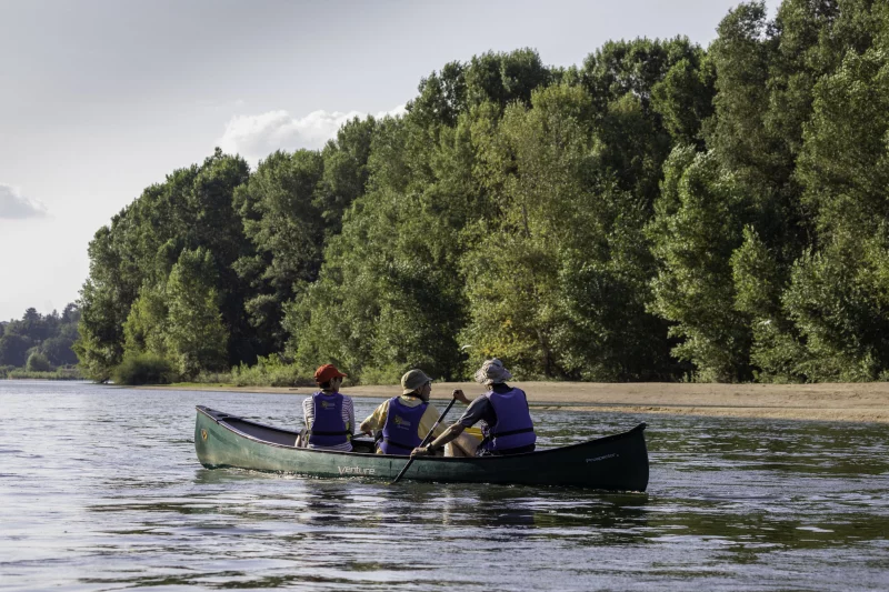 Sur les traces du castor et des oiseaux de la Loire en canoë