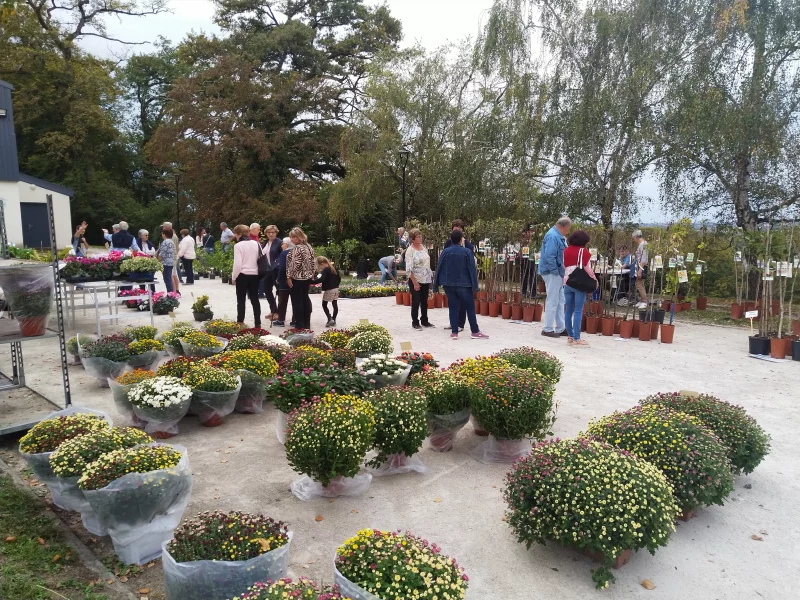 Fête horticole