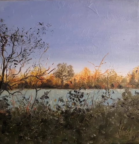 Exposition : Anne Mignot