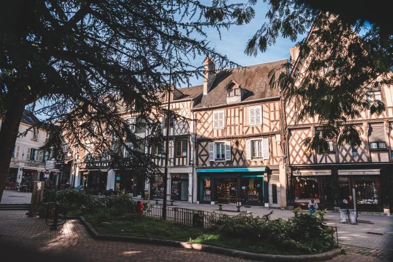 Visites guidées : la cathédrale, un monument, un quartier