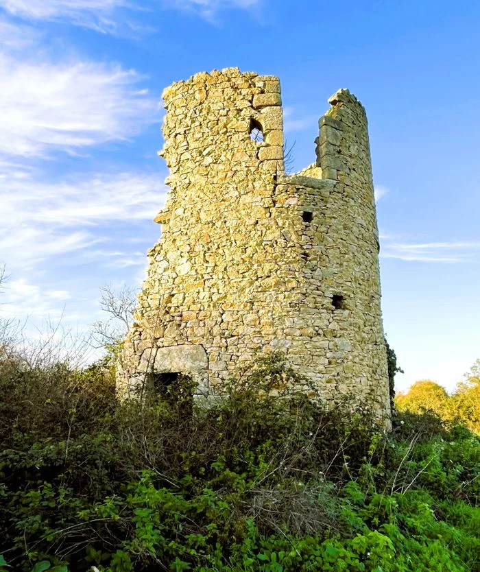 Les moulins en région nazairienne