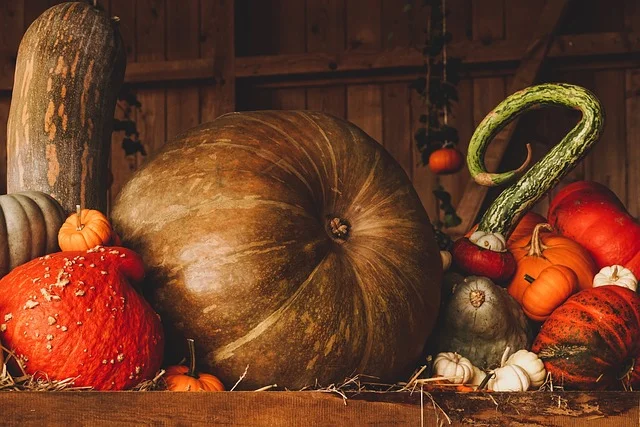 Repas d'automne  par Saint-Quentin Loisirs