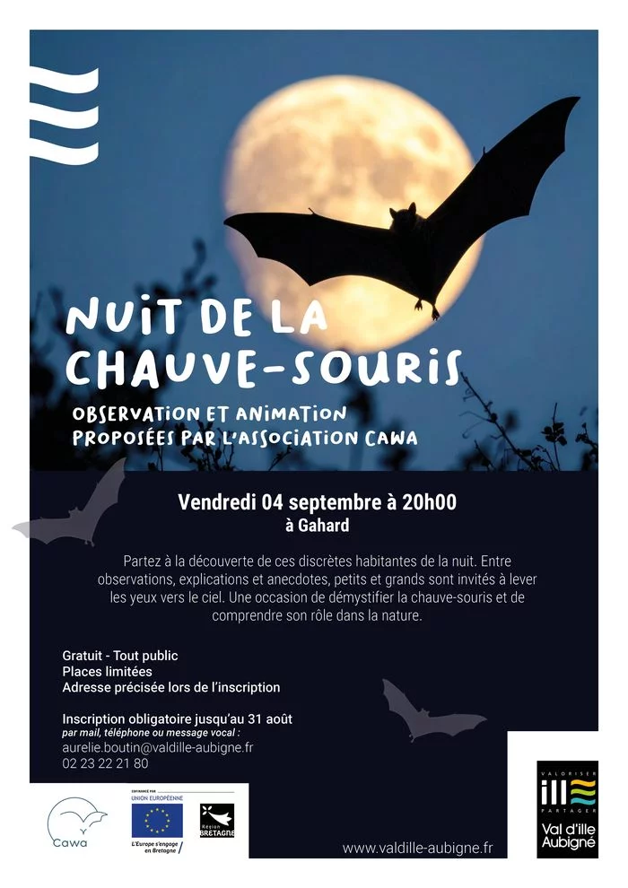 Nuit de la chauve-souris