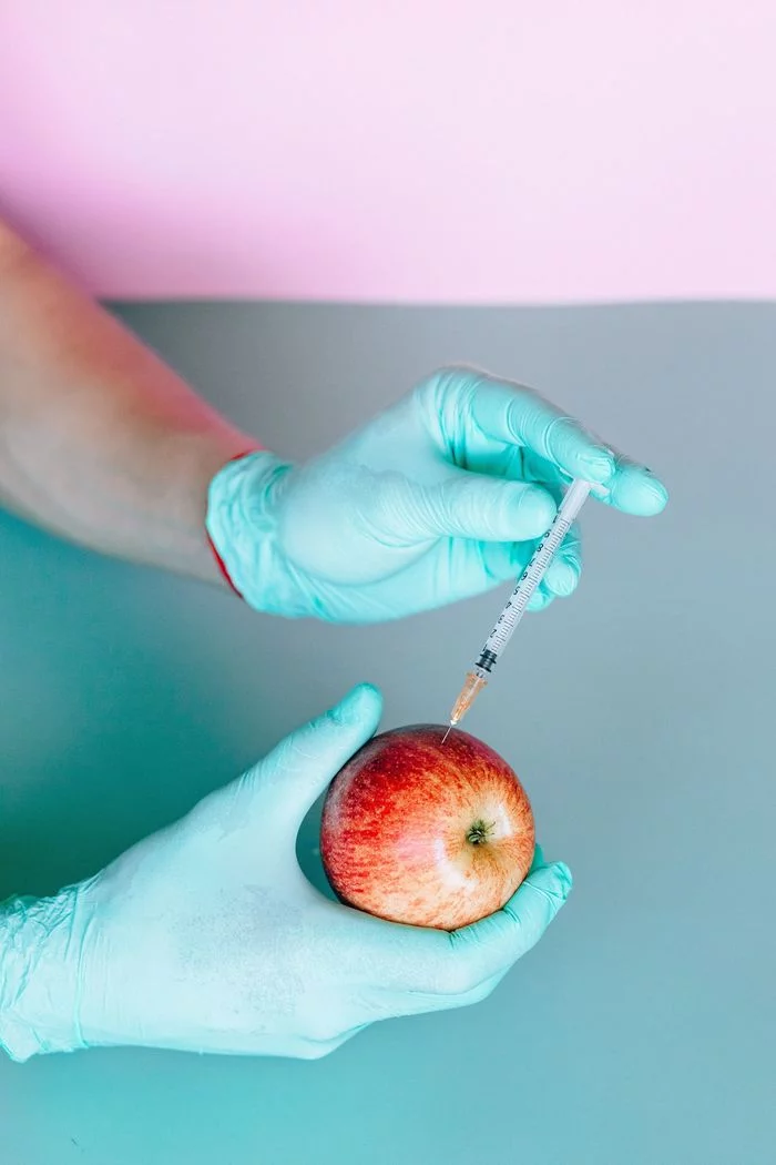 ALIMENTATION EN SANTÉ : IMPORTS ET IMPACTS DE L’ALIMENTATION NUTRITIONNELLE