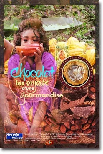 CHOCOLAT, LES ENJEUX D'UNE GOURMANDISE.