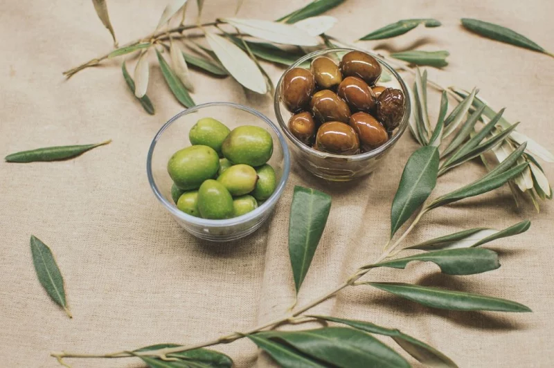DE L'OLIVE À LHUILE : PARTONS À LA DÉCOUVERTE D'UNE PRODUCTION BIOLOGIQUE