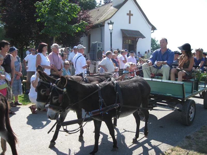 Grand'messe suivie de la bénédiction des chevaux et cavaliers