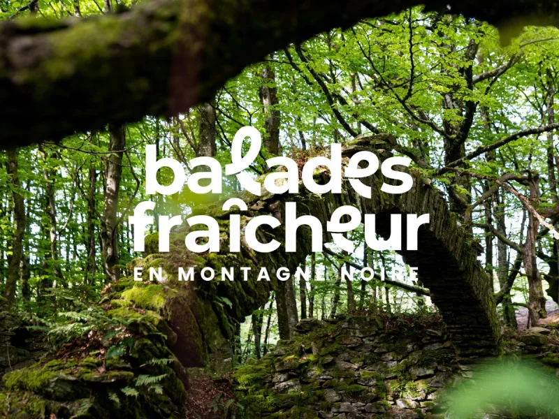 BALADES FRAÎCHEUR - SENTIER DES GLACIÈRES
