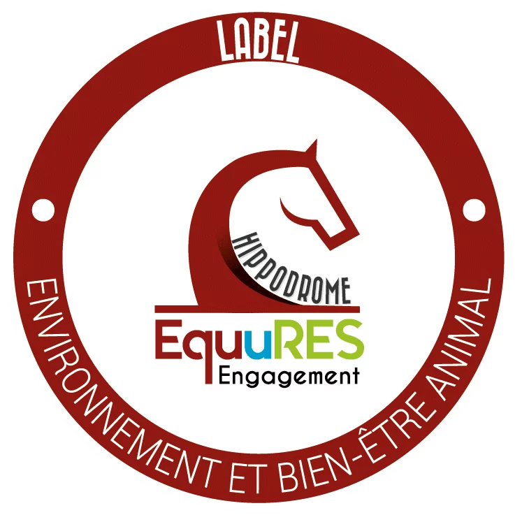 Courses hippiques - Tout galop