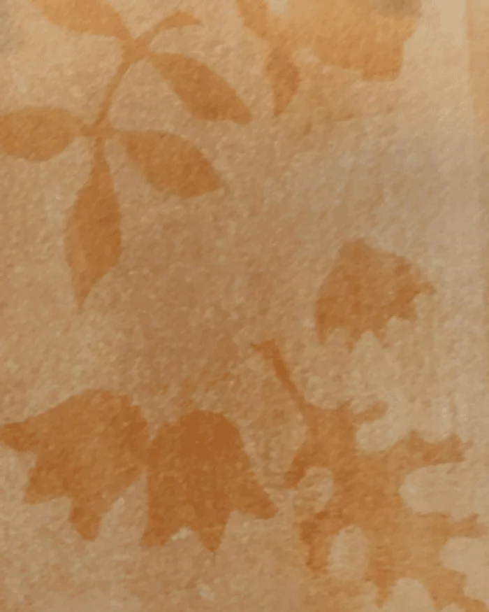Atelier de pratique artistique | Anthotype fantôme