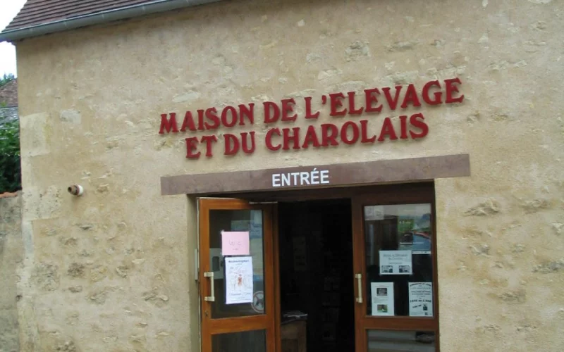 Visite couplée du Musée de l’Elevage et du Charolais et du Marché au Cadran