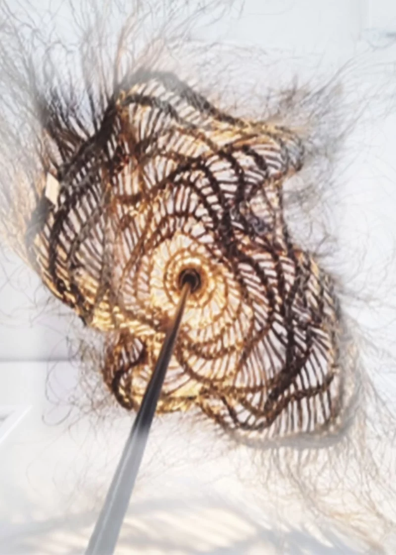 Exposition de vannerie d'art de Stéphane Foret-Deleau