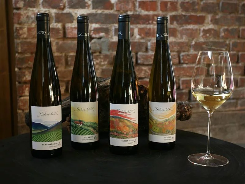 Vignoble en scène : "Crémant & art" au Domaine Schoenheitz