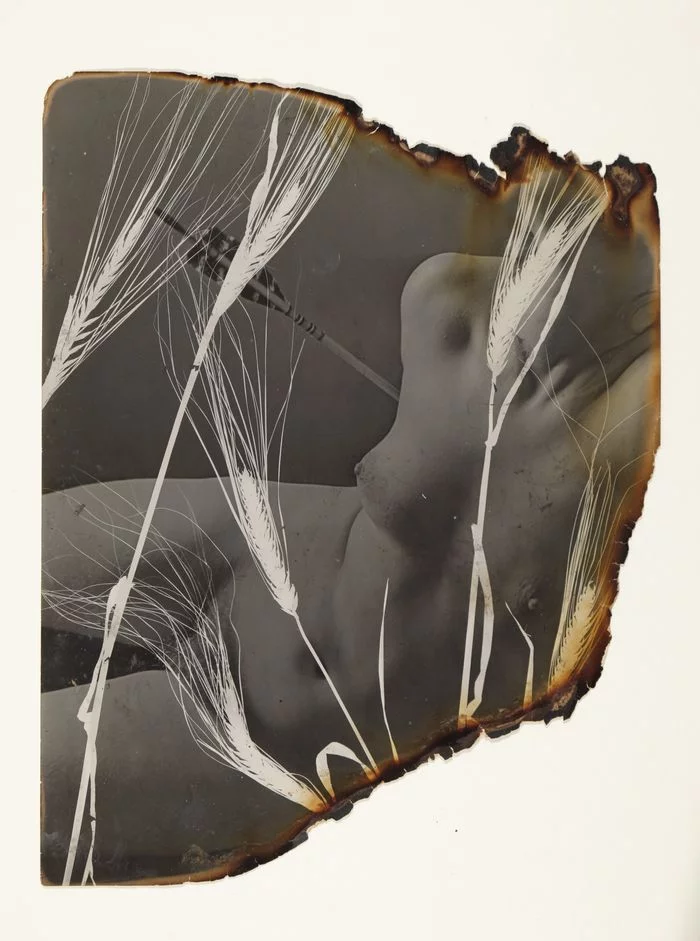 Exposition de Pierre Jahan, A Retrospective - Galerie Jean-François Cazeau