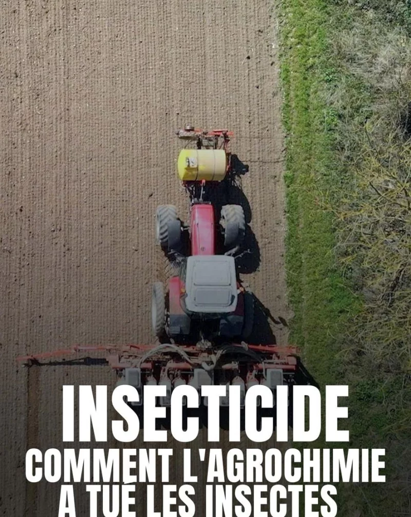 Séance débat avec la projection : INSECTICIDE