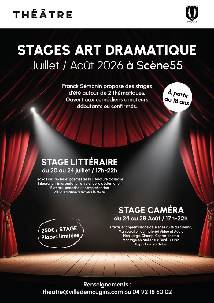 Stage d'Art Dramatique