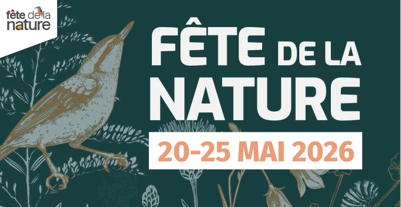 Goûter ludique et artistique autour de la nature