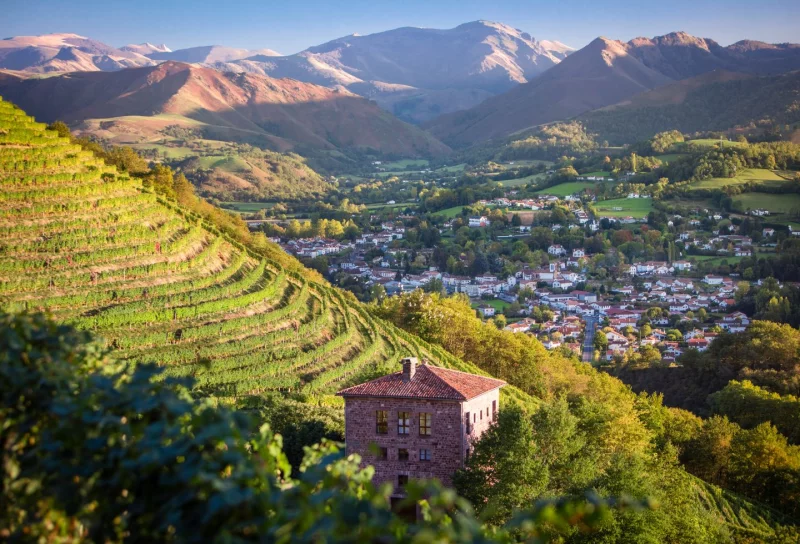Visite du Vignoble Brana et dégustation