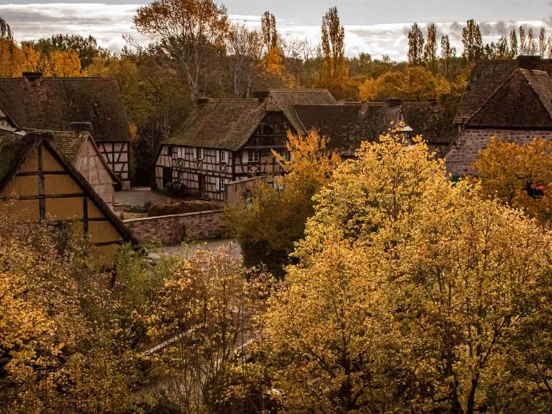 Rites et croyances de la Toussaint en Alsace