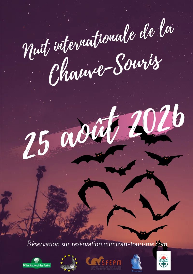 La Nuit Internationale de la Chauve Souris