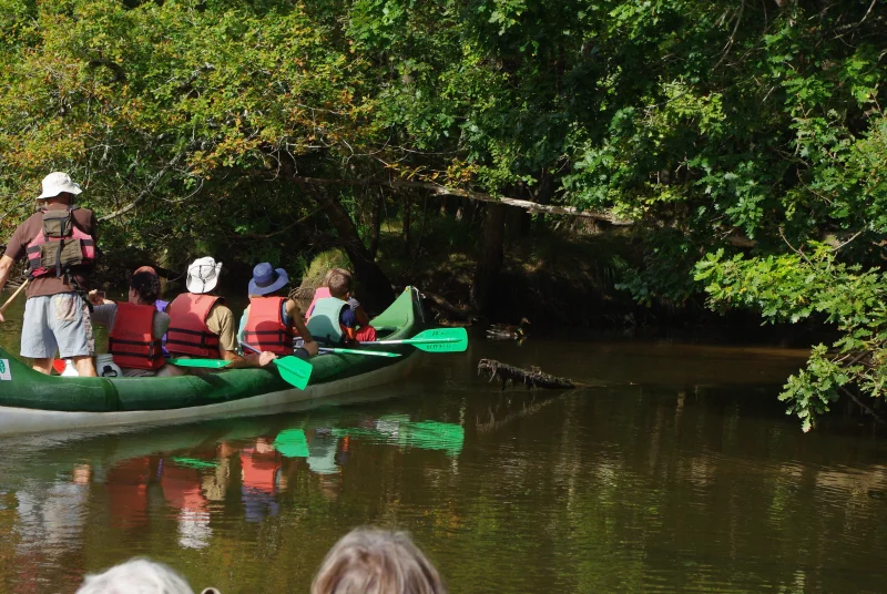 Descente de la Leyre en canoë collectif entre Salles et Mios