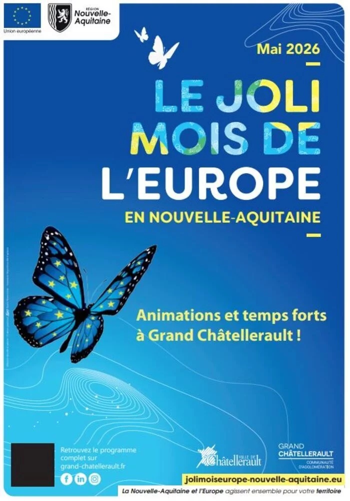 Simulation du parlement Européen en partenariat avec l'association Eurofeel