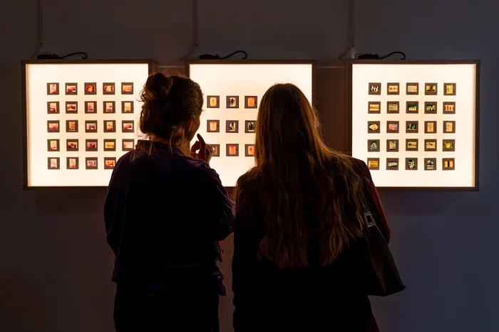 Visites flash des expositions en cours