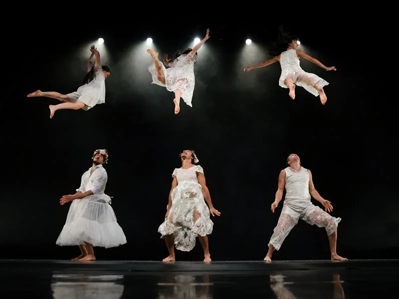 Spectacle de cirque - Orphées
