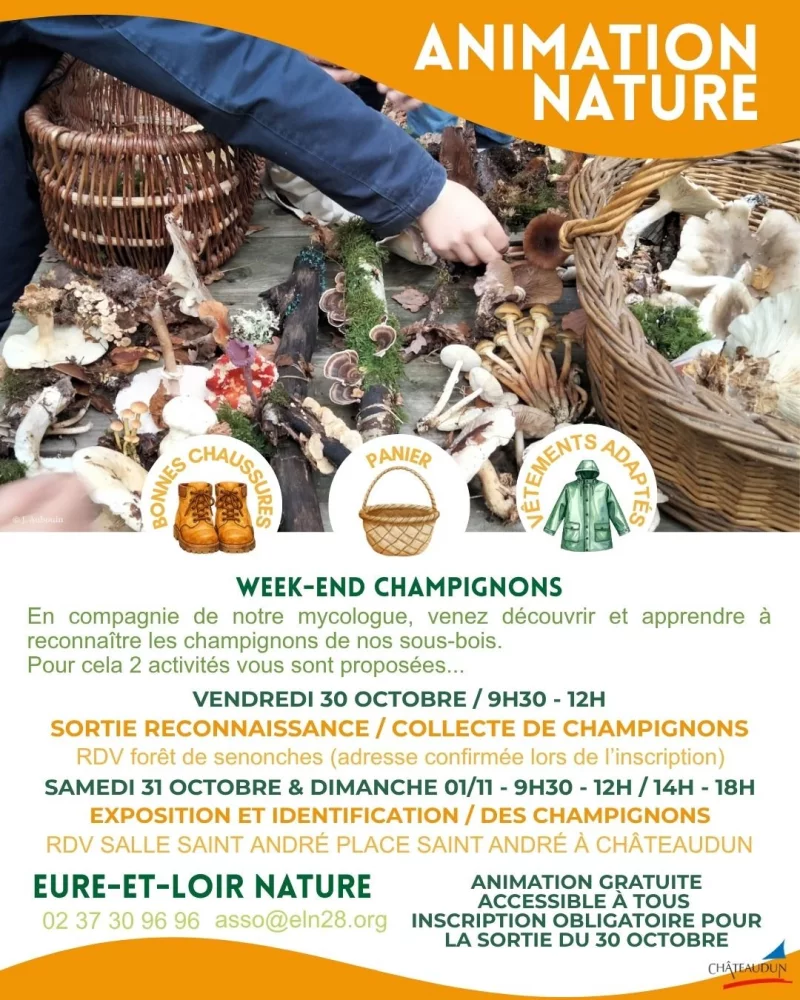 Animation nature - Exposition et identification des champignons