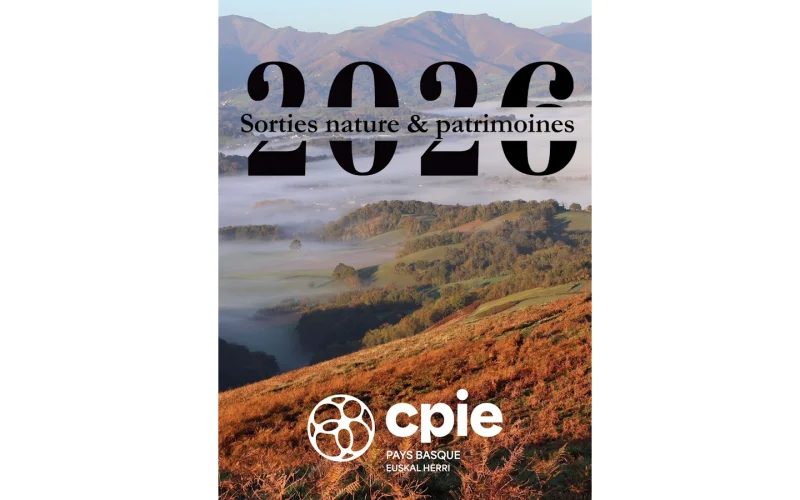 Sortie nature CPIE Pays Basque : "L'envol de la chauve-souris"