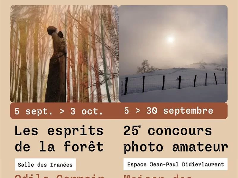 25ème concours photographie amateur