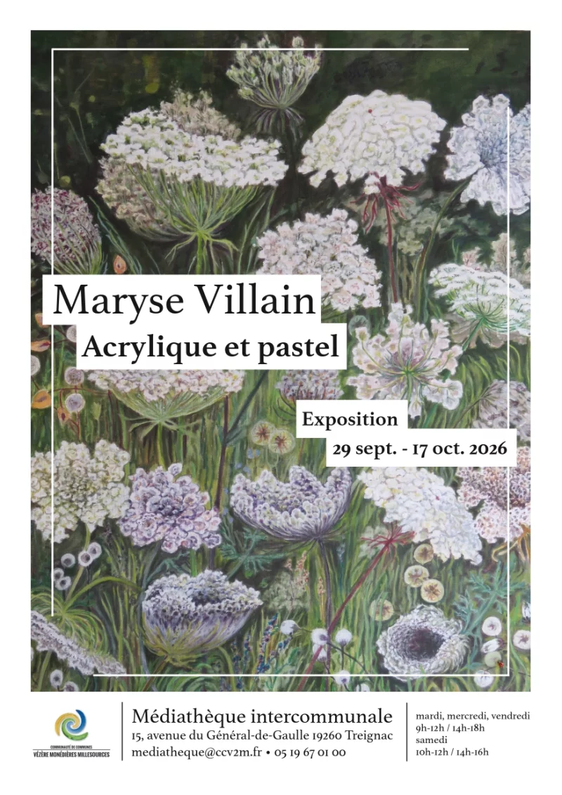Médiathèque : Exposition de Maryse Villain