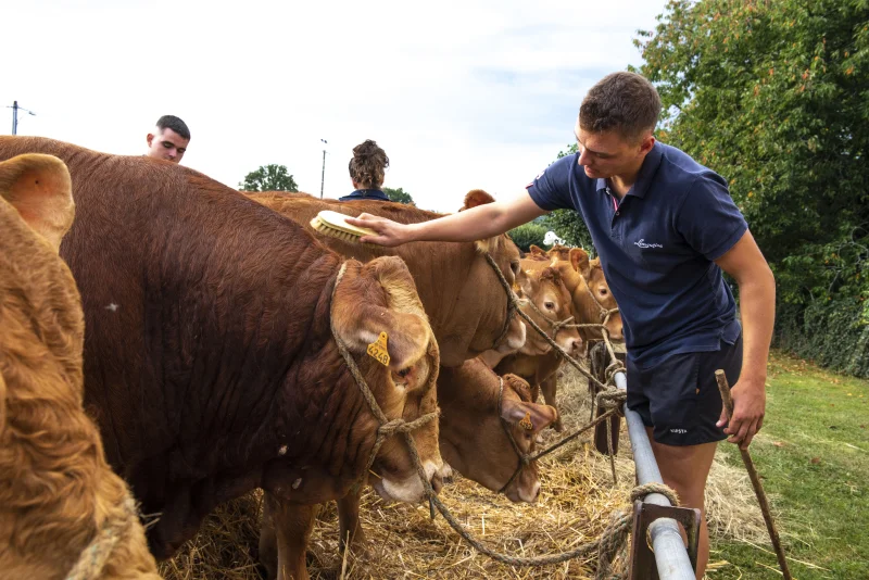 Comice agricole, Château-Chervix en fête!