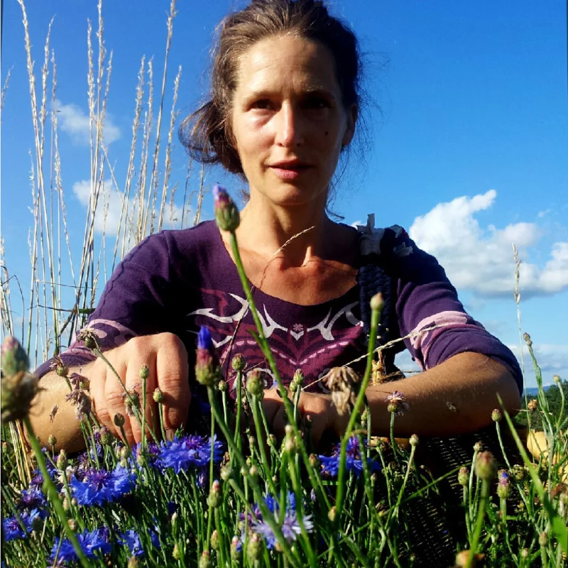 SORTIE NATURE - HISTOIRES DE PLANTES