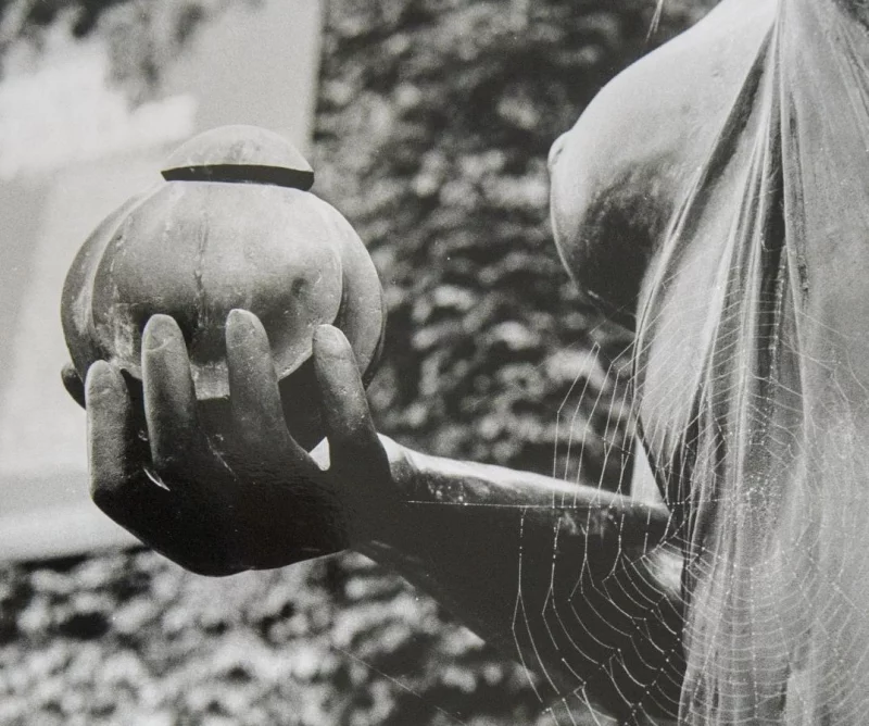 Deux regards sur l'argentique